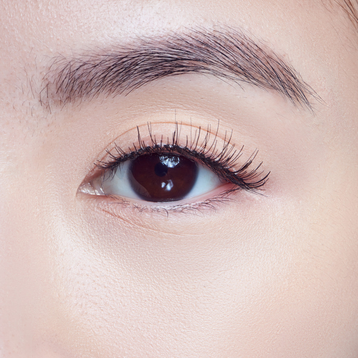 KISS Natural Lashes, Style ‘Daydreamy’, 1 Pair & Lash Glue Net Wt. 1g (0.035.oz.)