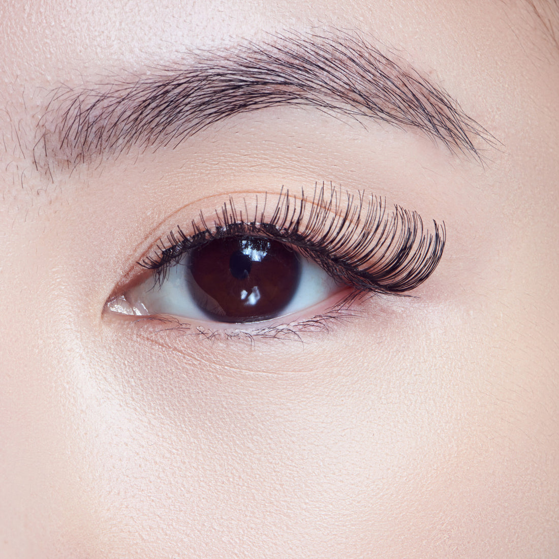 KISS Natural Lashes, Style ‘Gorgeous’, 1 Pair & Lash Glue Net Wt. 1g (0.035.oz.)