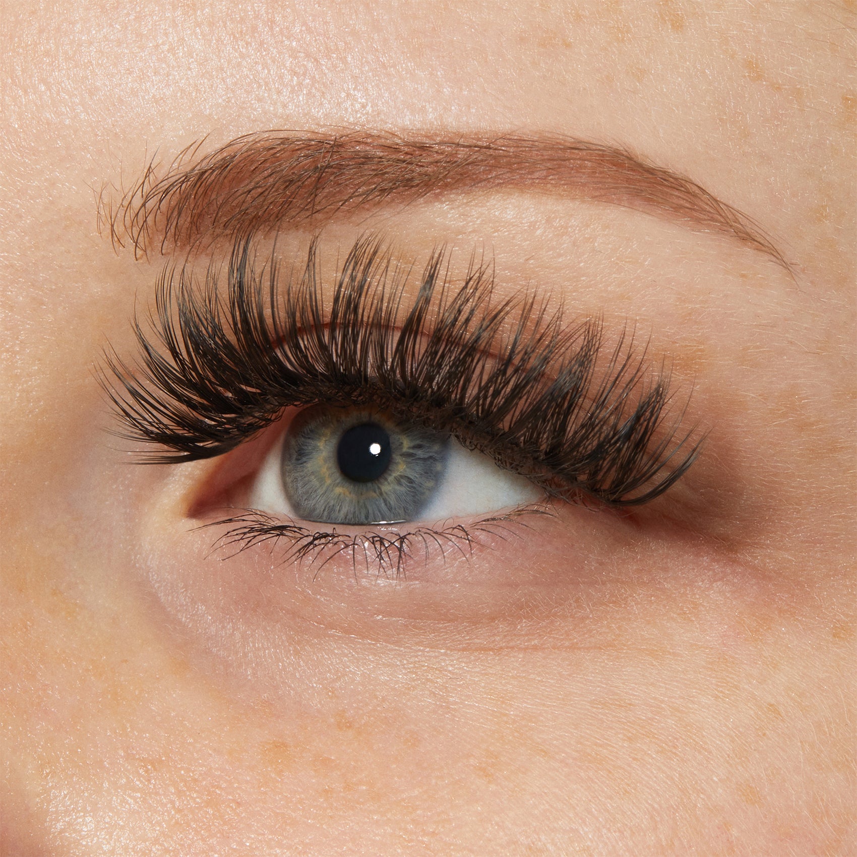 KISS My Lash But Bolder 3D Volume False Eyelashes, Style &