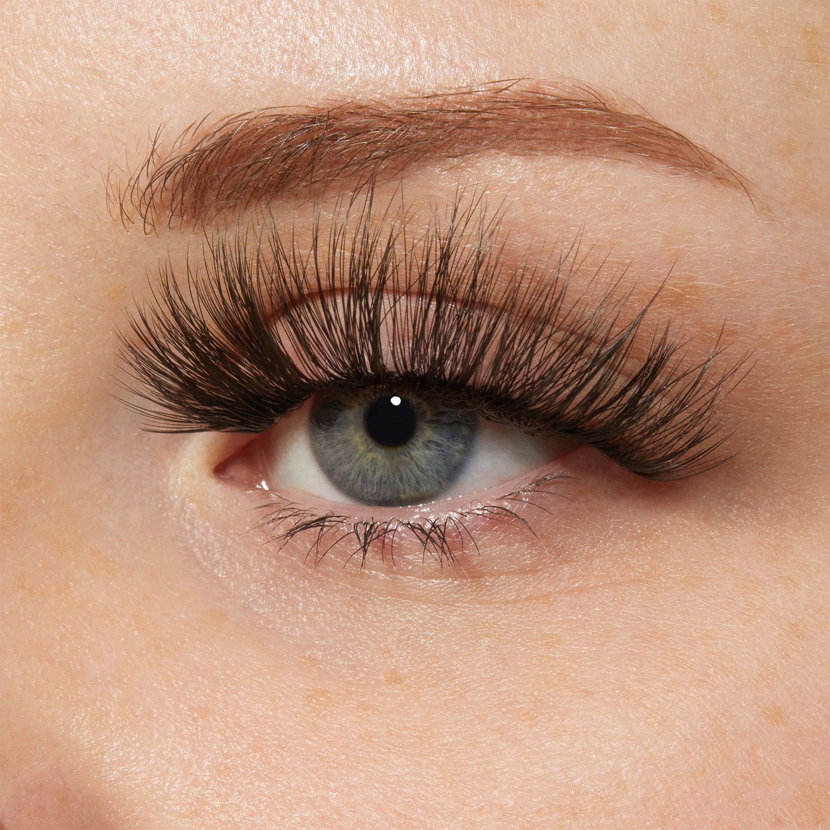 KISS My Lash But Bolder 3D Volume False Eyelashes, Style &