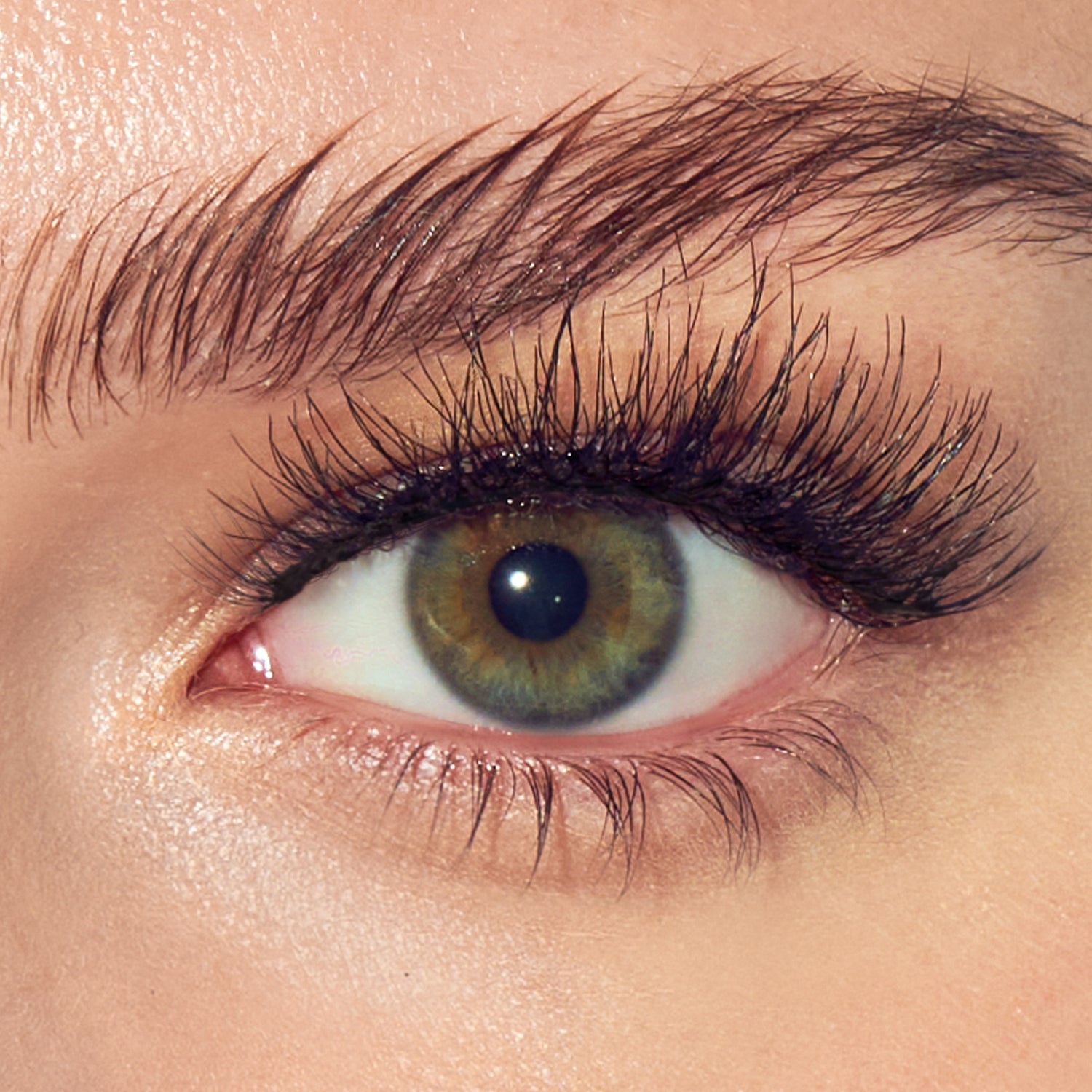KISS imPRESS Pre-Glued Strip Lashes Kit, Classic Natural, 2 Pair Self Adhesive Eyelashes